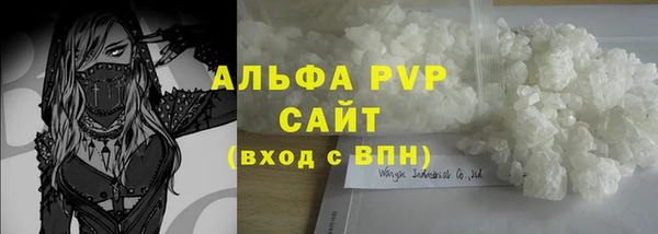шишки Дмитров