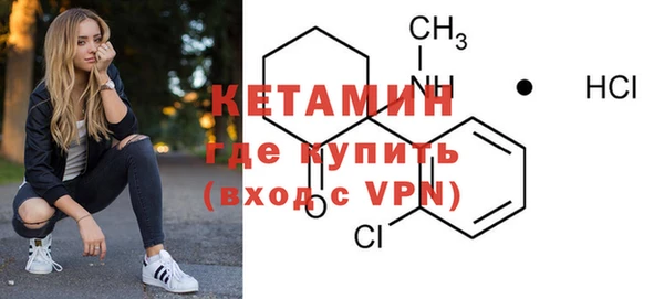 шишки Дмитров