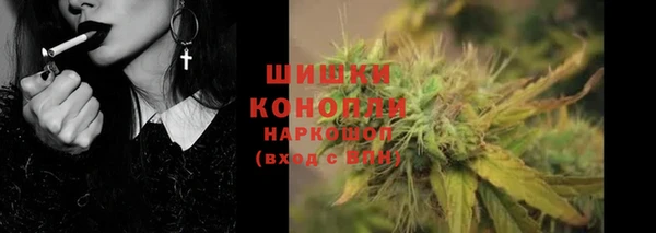 шишки Дмитров