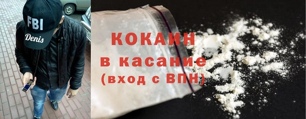 шишки Дмитров
