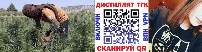 kraken ТОР  как найти наркотики  Николаевск-на-Амуре  Дистиллят ТГК жижа 