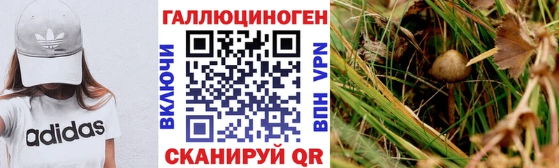 Псилоцибиновые грибы ЛСД  Николаевск-на-Амуре 